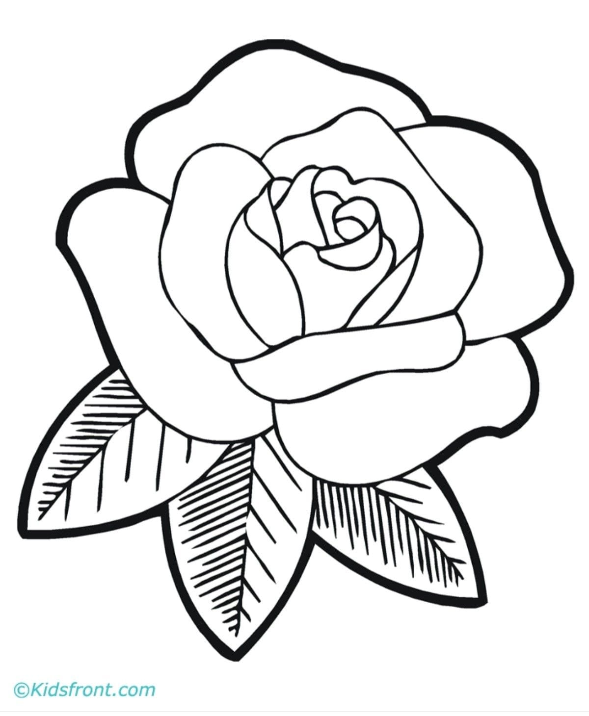 Kumpulan Gambar Bunga Yang Mudah Terbagus dan Terlengkap 2 Gambar Bunga Yang Mudah