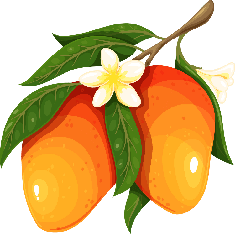 Kumpulan Gambar Mangga Kartun Terbagus dan Terlengkap 3 Gambar Mangga Kartun