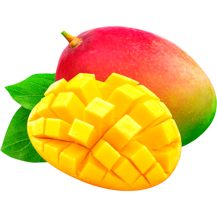 Kumpulan Gambar Mangga Kartun Terbagus dan Terlengkap 24 Gambar Mangga Kartun