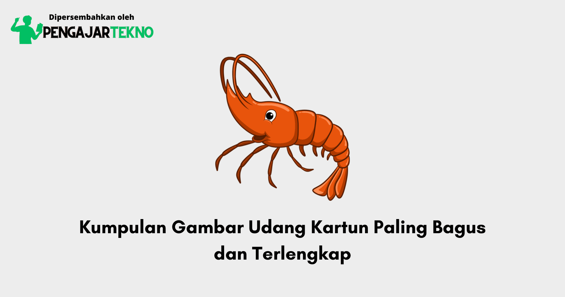 Gambar Udang Kartun