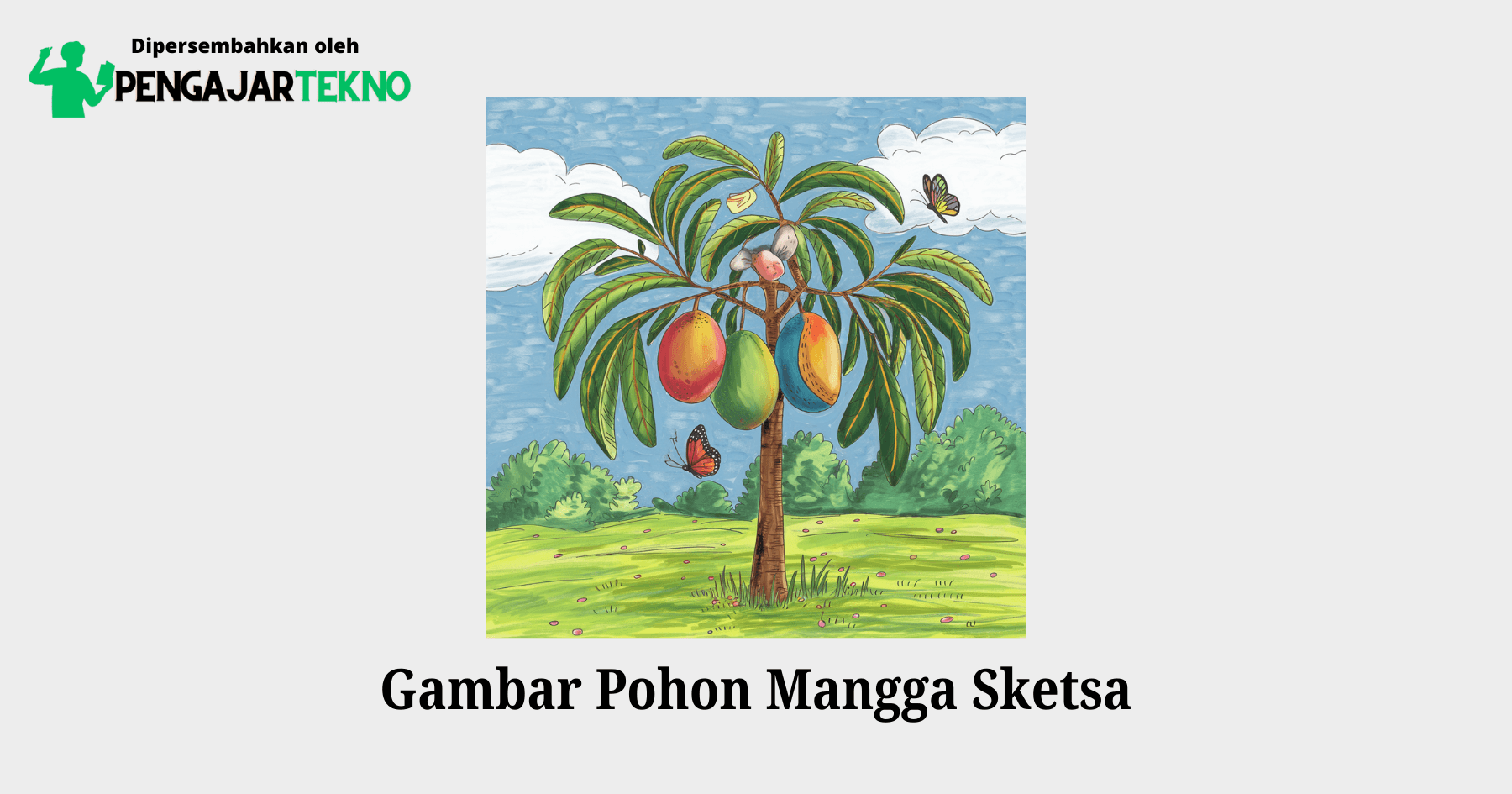 gambar pohon mangga sketsa