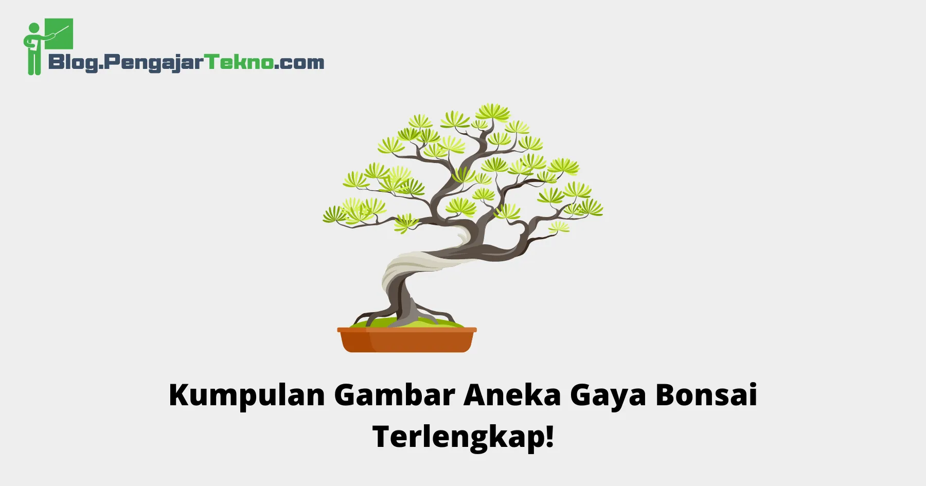 Aneka Gaya Bonsai
