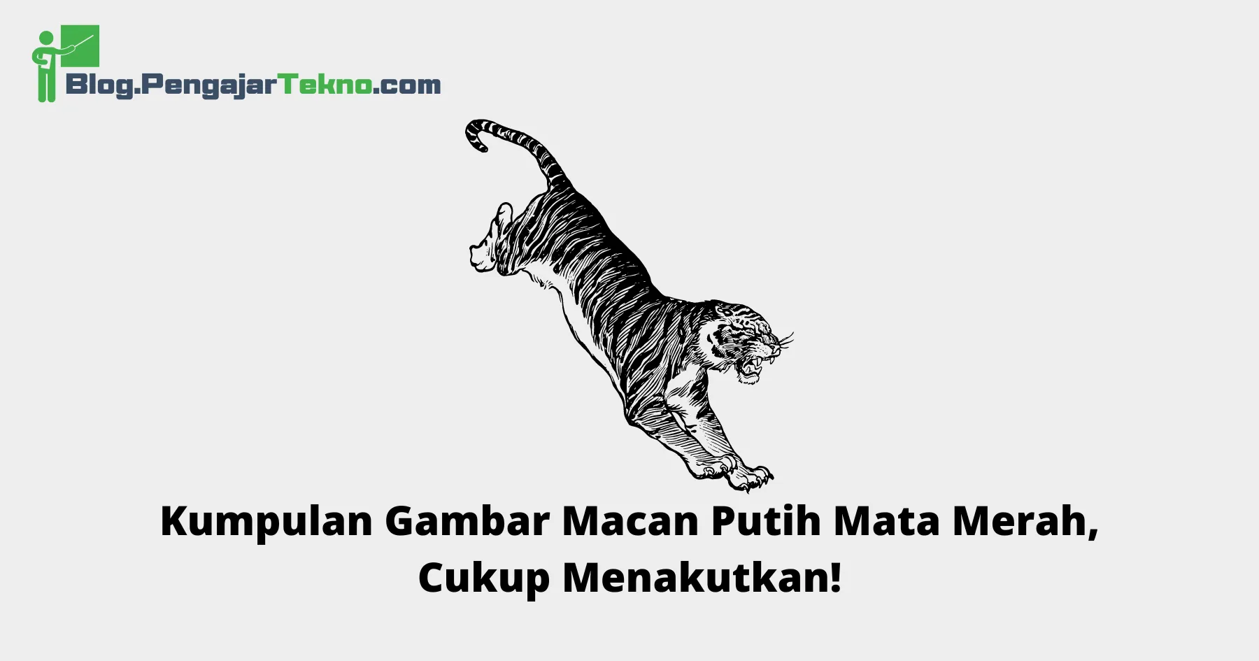 Gambar Macan Putih Mata Merah