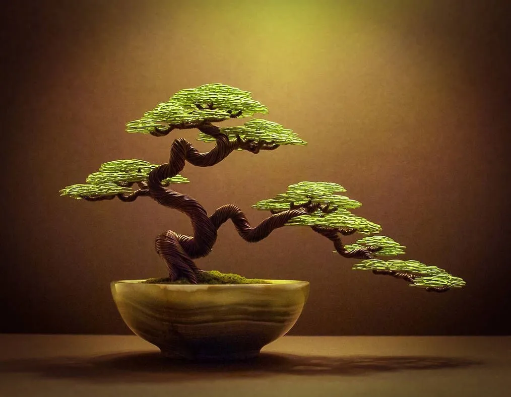 Kumpulan Gambar Aneka Gaya Bonsai Terlengkap! 2 aneka gaya bonsai