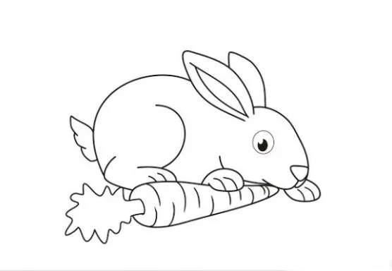 Kumpulan Gambar Kelinci Makan Wortel Terlengkap! 2 gambar kelinci makan wortel