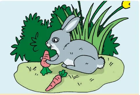 Kumpulan Gambar Kelinci Makan Wortel Terlengkap! 3 gambar kelinci makan wortel