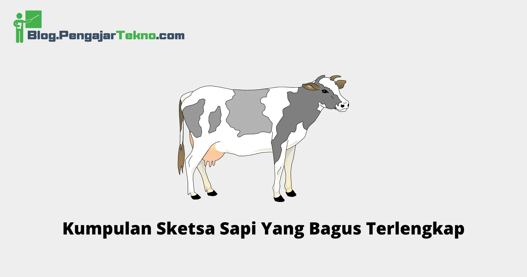 sketsa sapi