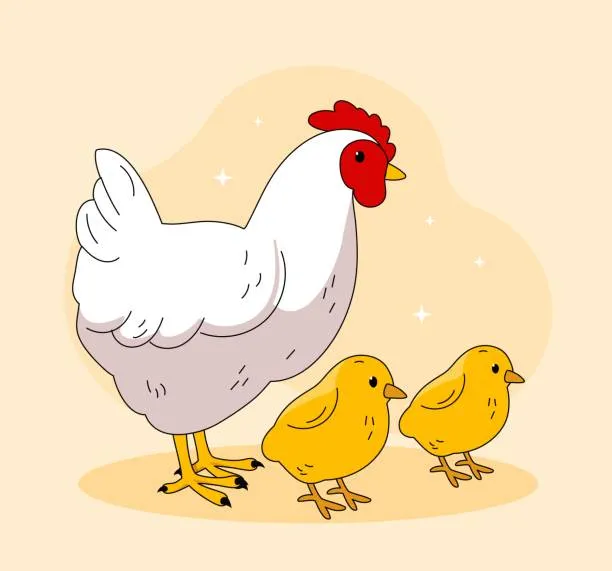 Kumpulan Gambar Ayam Kartun Berwarna Terlengkap 14 gambar ayam kartun berwarna