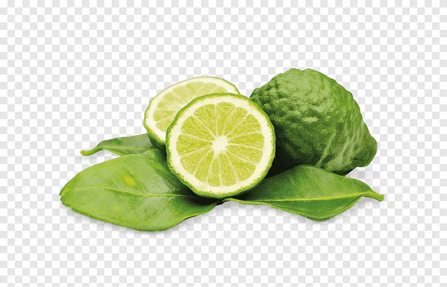 Kumpulan Jeruk Nipis PNG Terbagus dan Terlengkap 14 jeruk nipis png