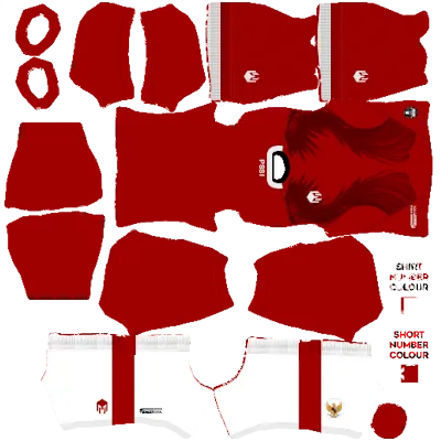 Kumpulan Kit DLS Timnas Indonesia Terbagus dan Terlengkap 19 kit dls timnas indonesia