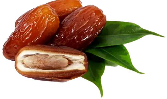 Kumpulan Gambar Kurma PNG Terbagus dan Terlengkap 3 kurma png