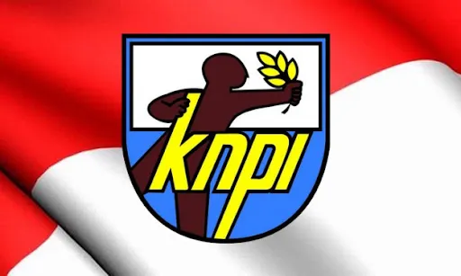 logo knpi