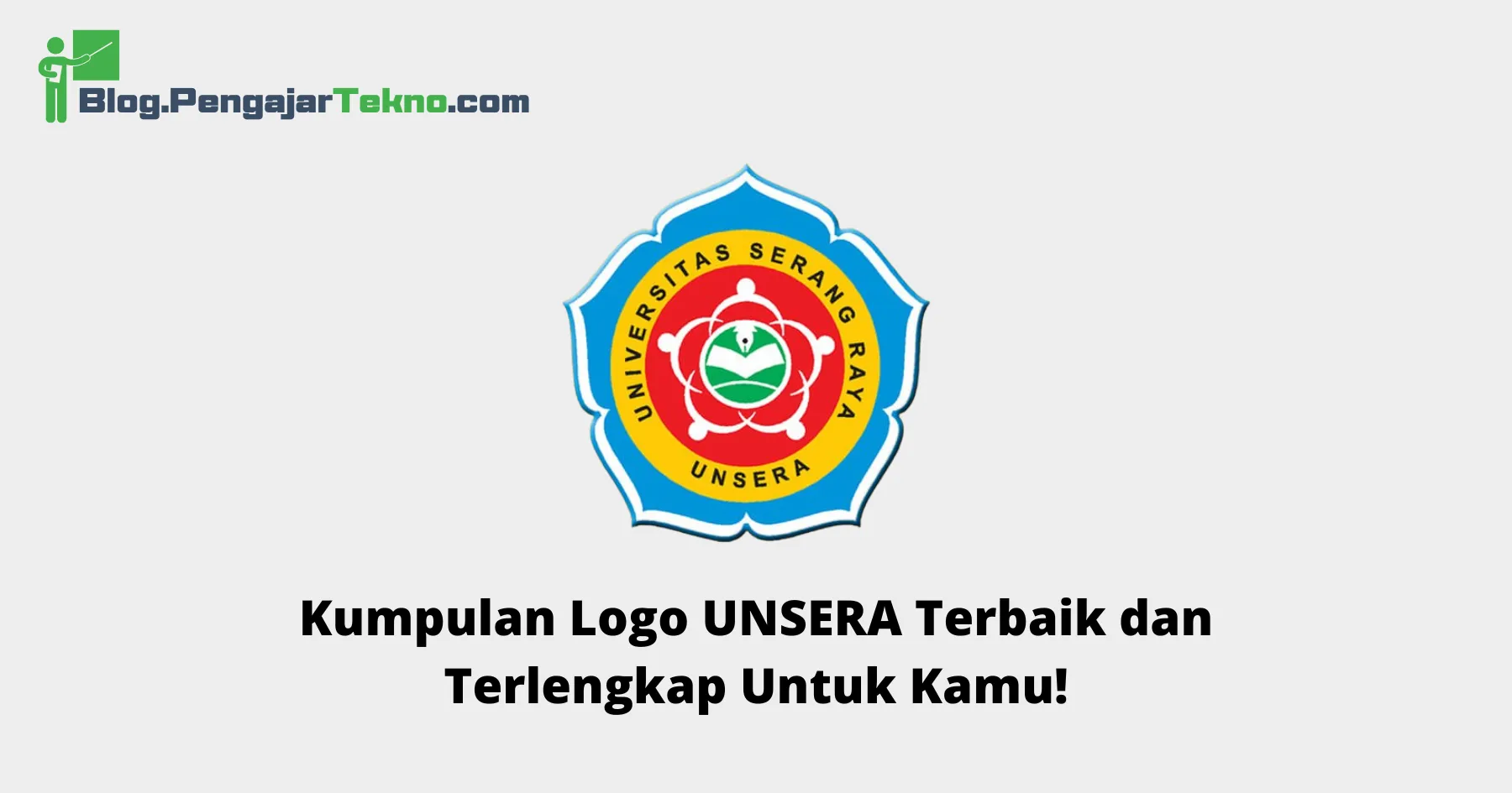 logo unsera