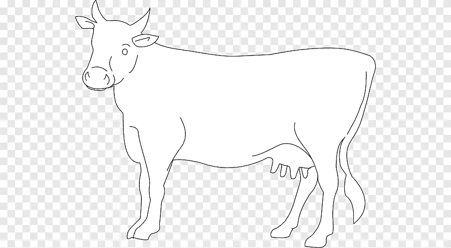 Kumpulan Gambar Mewarnai Sapi Yang Siap Untuk Diwarnai! 9 mewarnai sapi