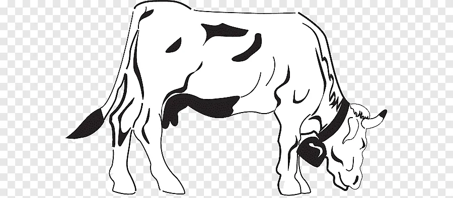 Kumpulan Gambar Mewarnai Sapi Yang Siap Untuk Diwarnai! 17 mewarnai sapi