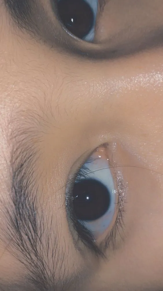 Kumpulan PP Wa Aesthetic Terbagus dan Terlengkap 17 pp wa aesthetic