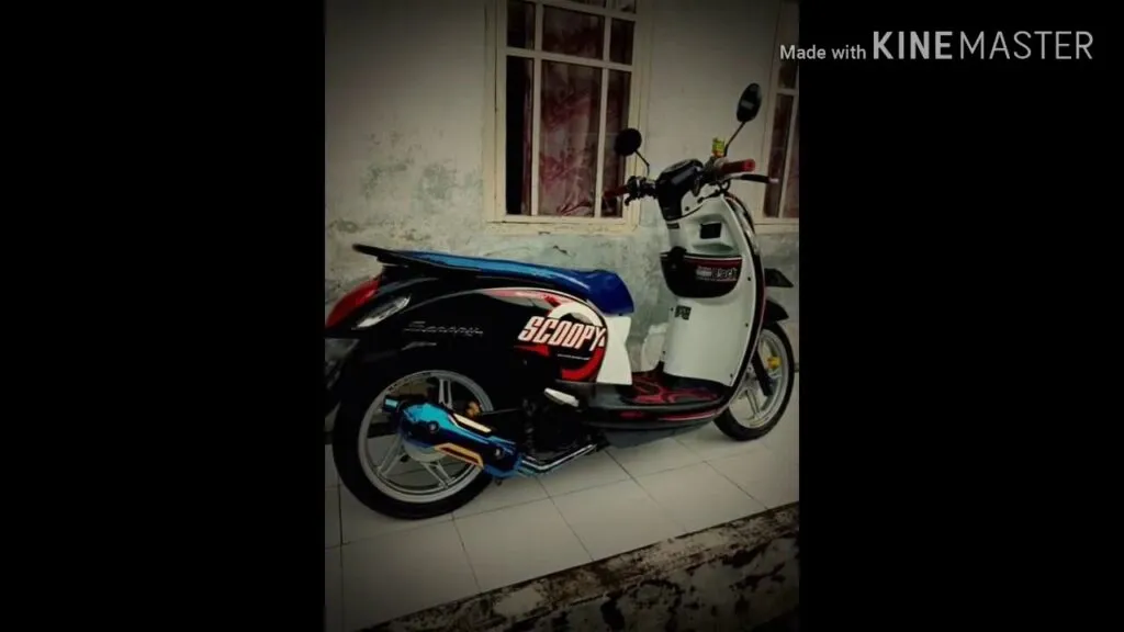 scoopy modif standar