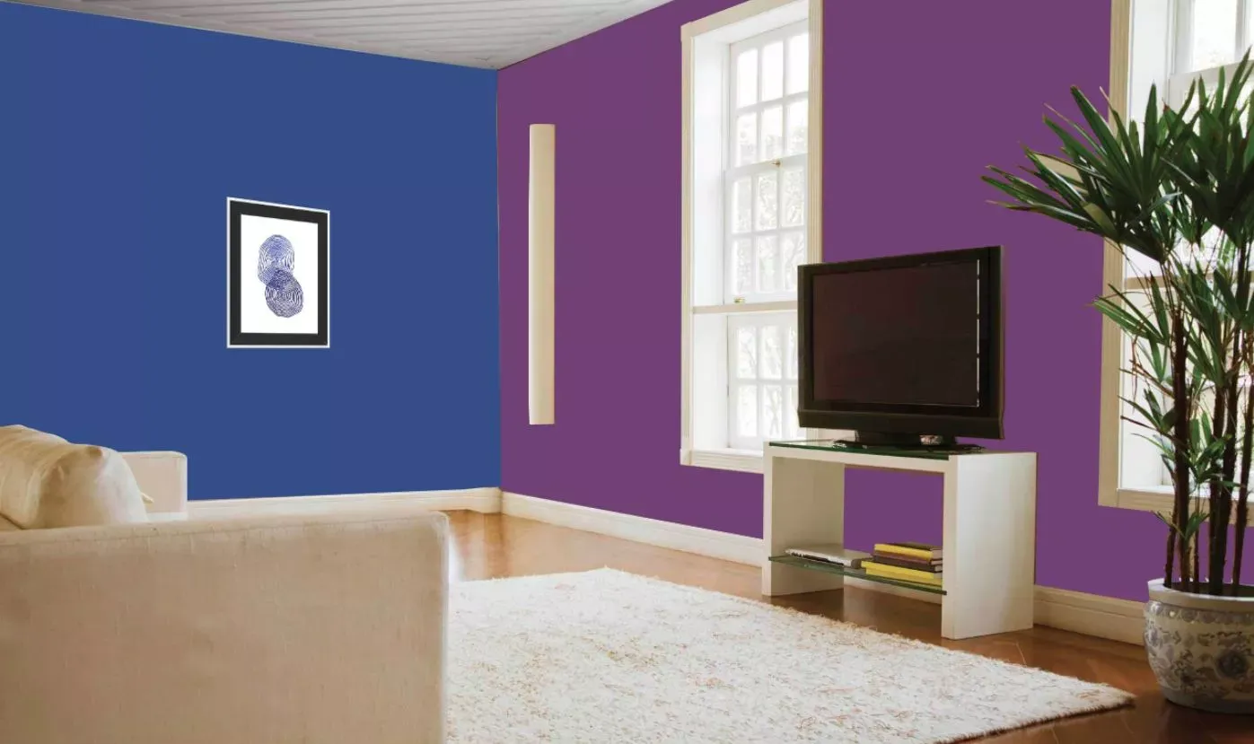 warna cat rumah ungu