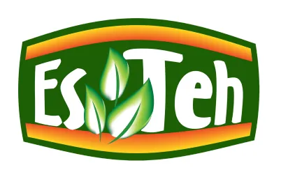 logo es teh