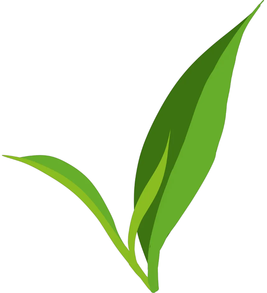 Kumpulan Logo Teh Pucuk Terbagus dan Paling Menarik 17 Logo Teh Pucuk