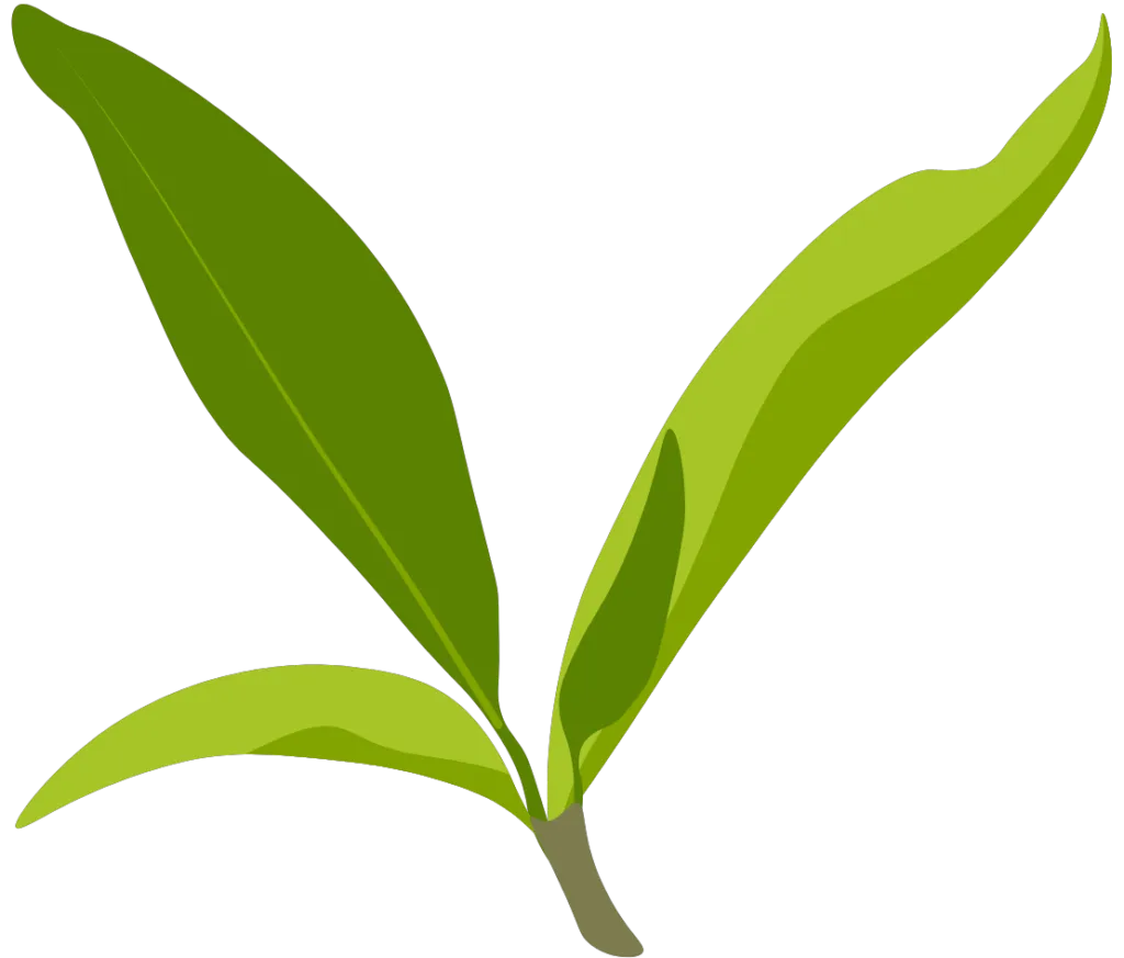 Kumpulan Logo Teh Pucuk Terbagus dan Paling Menarik 11 Logo Teh Pucuk