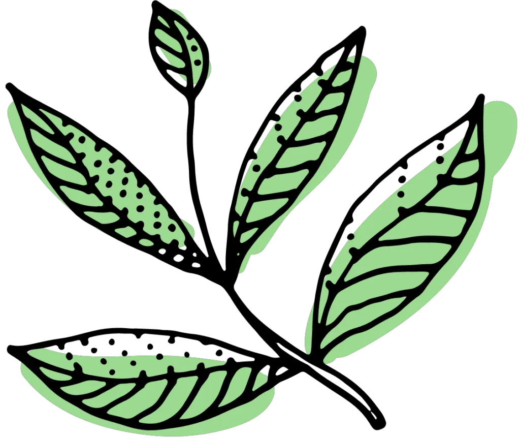 Kumpulan Logo Teh Pucuk Terbagus dan Paling Menarik 6 Logo Teh Pucuk