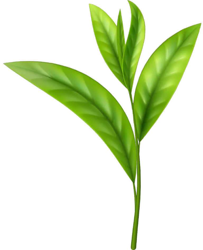 Kumpulan Logo Teh Pucuk Terbagus dan Paling Menarik 7 Logo Teh Pucuk