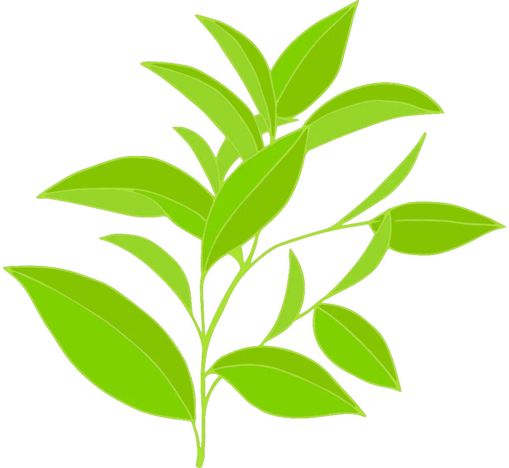 Kumpulan Logo Teh Pucuk Terbagus dan Paling Menarik 8 Logo Teh Pucuk