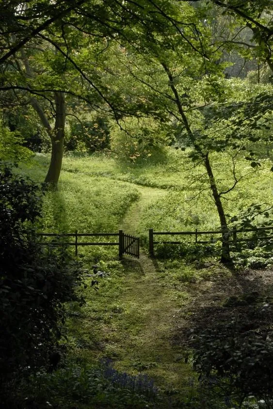 Kumpulan Foto Pemandangan Aesthetic Terbagus dan Terlengkap 23 Foto Pemandangan Aesthetic