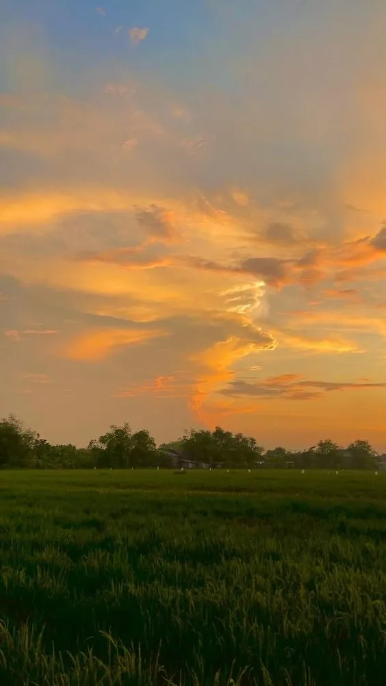 Kumpulan Foto Pemandangan Aesthetic Terbagus dan Terlengkap 31 Foto Pemandangan Aesthetic