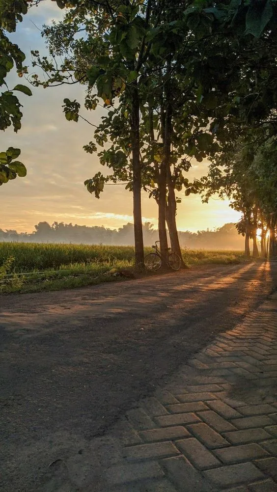 Kumpulan Foto Pemandangan Aesthetic Terbagus dan Terlengkap 9 Foto Pemandangan Aesthetic