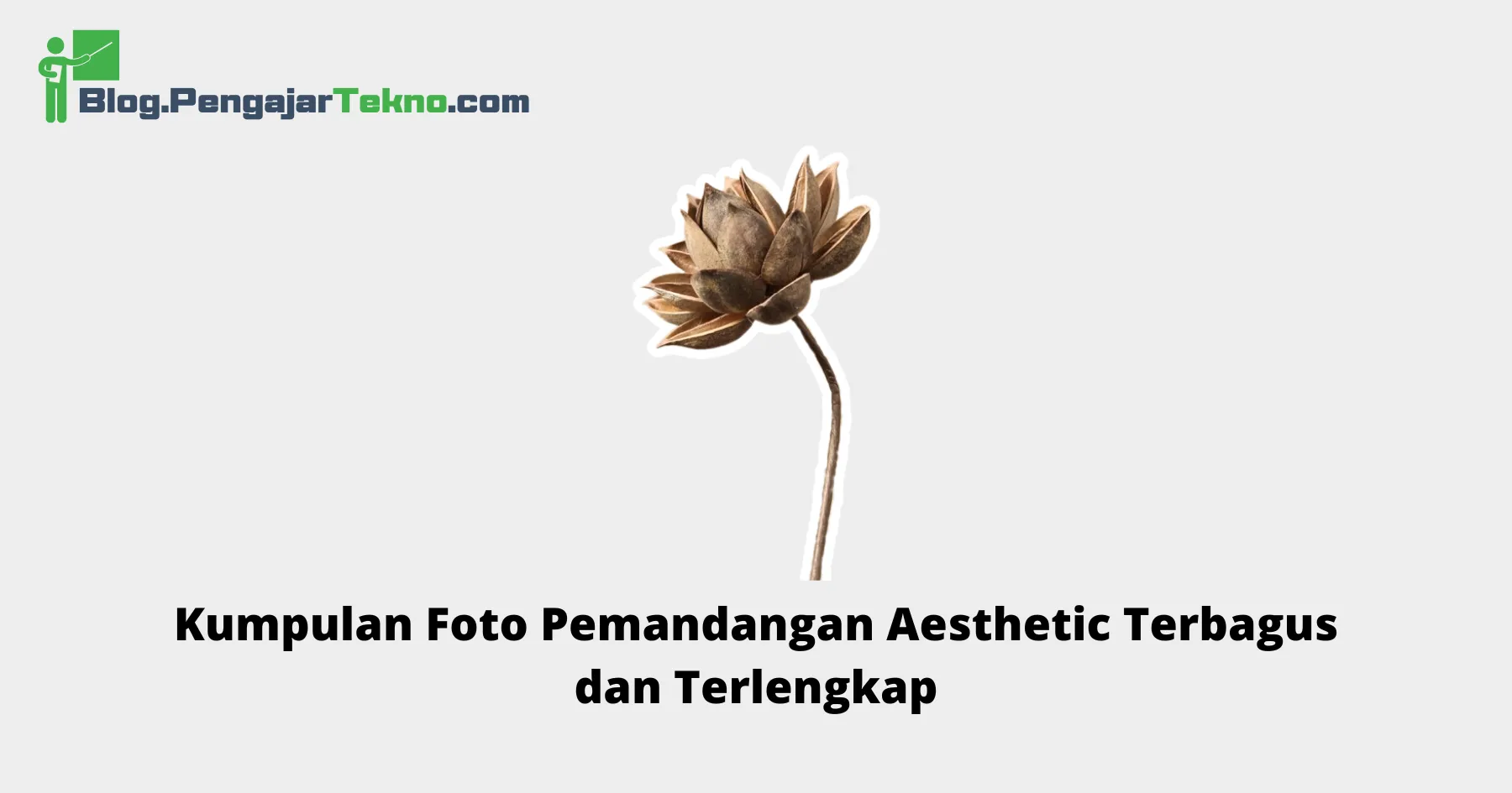 Foto Pemandangan Aesthetic
