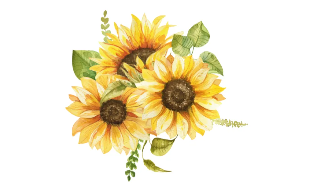 Gambar Bunga Matahari Kartun