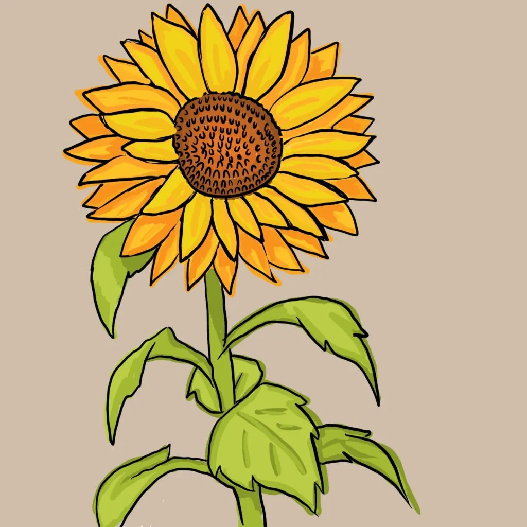 Gambar Bunga Matahari Kartun