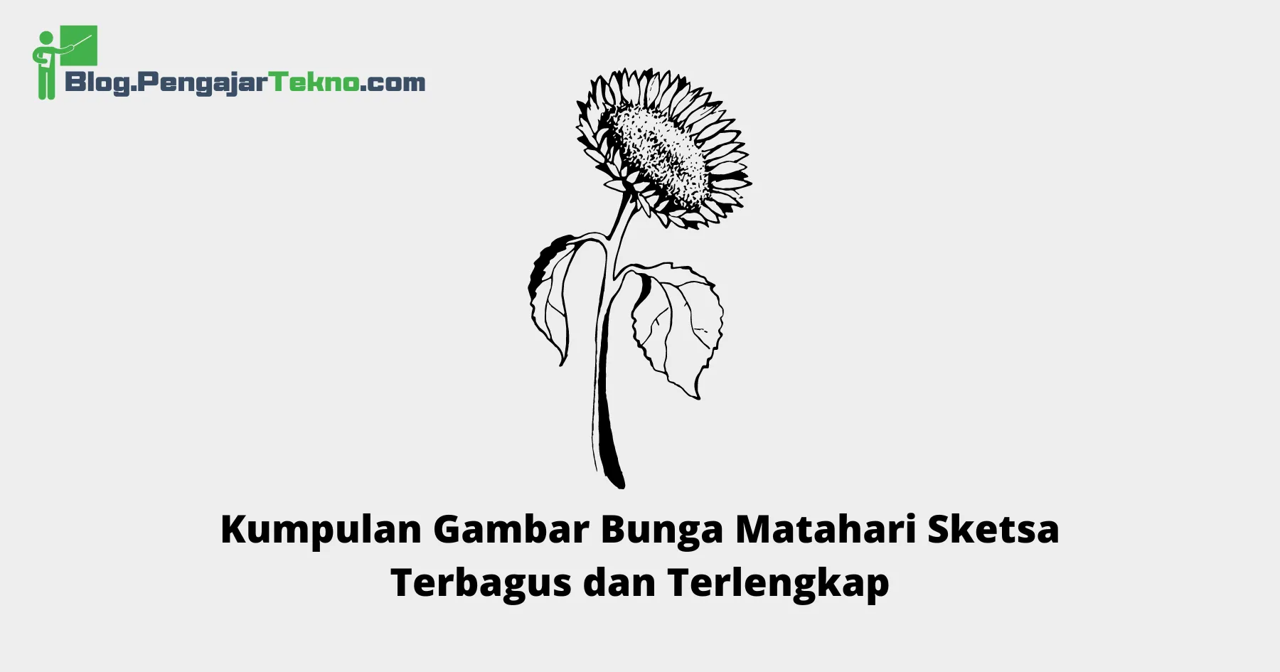 Gambar Bunga Matahari Sketsa