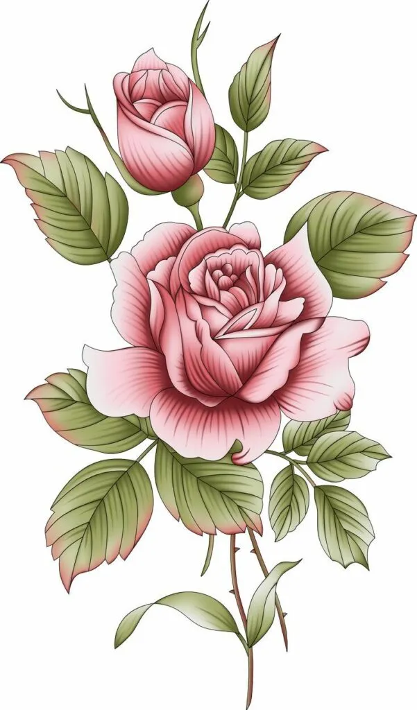 Kumpulan Gambar Bunga Mawar Kartun Terbagus dan Lengkap 17 Gambar Bunga Mawar Kartun