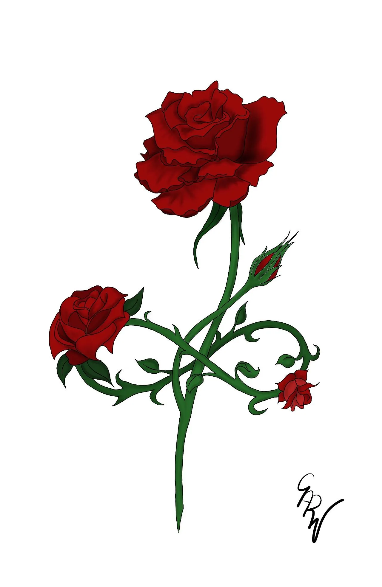 Kumpulan Gambar Bunga Mawar Kartun Terbagus dan Lengkap 23 Gambar Bunga Mawar Kartun