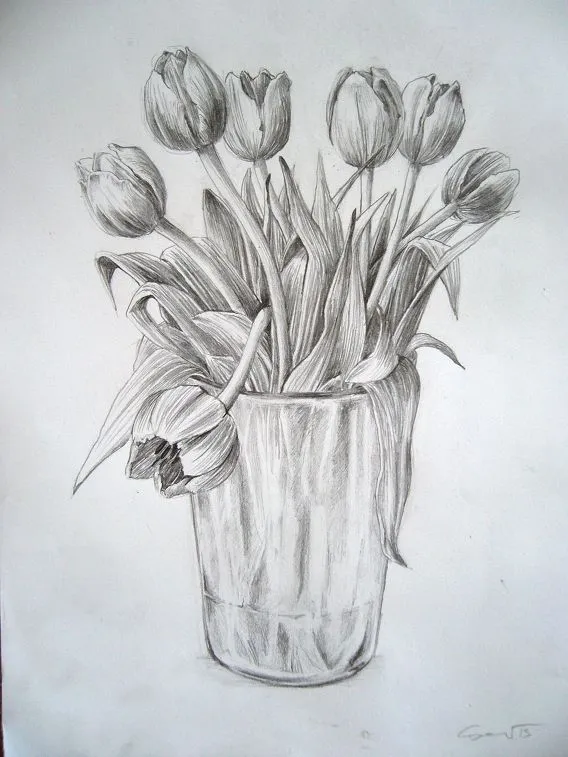 Gambar Bunga Tulip Sketsa