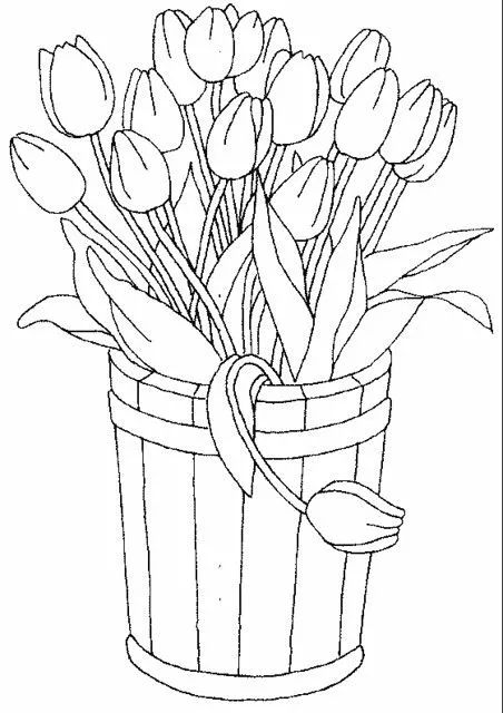 Gambar Bunga Tulip Sketsa