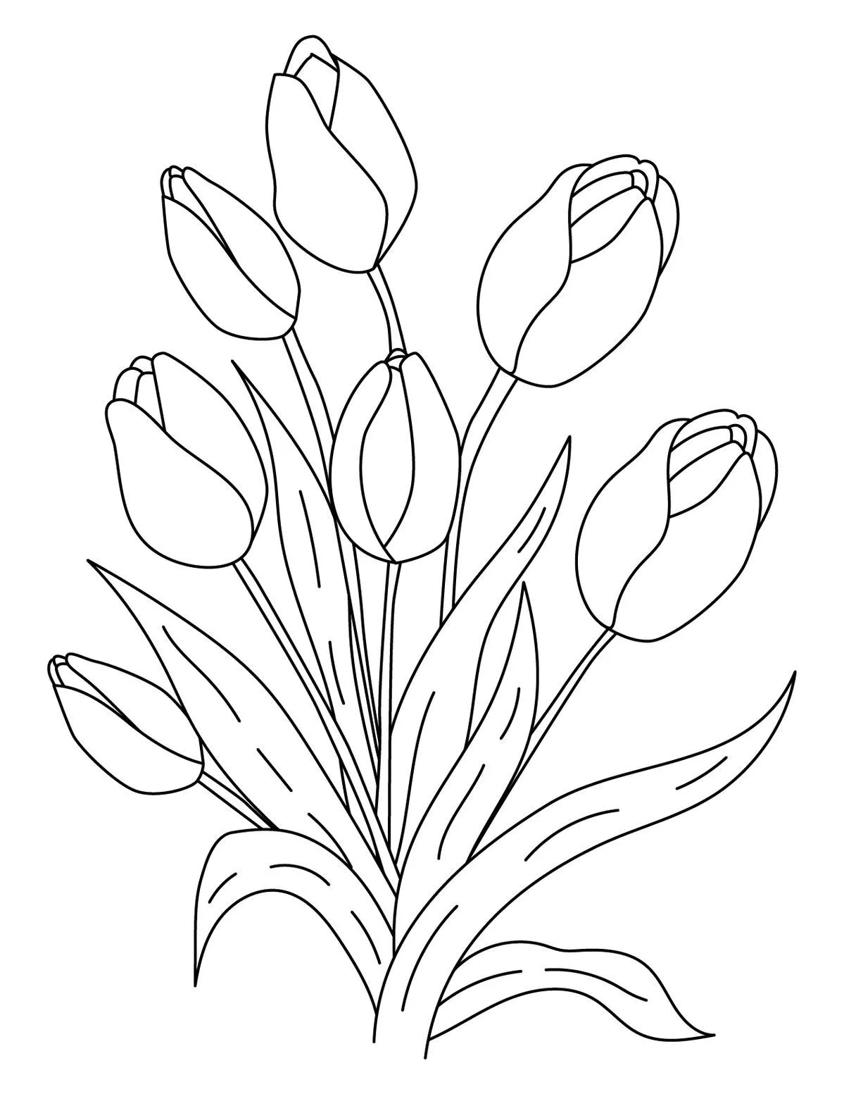 Gambar Bunga Tulip Sketsa