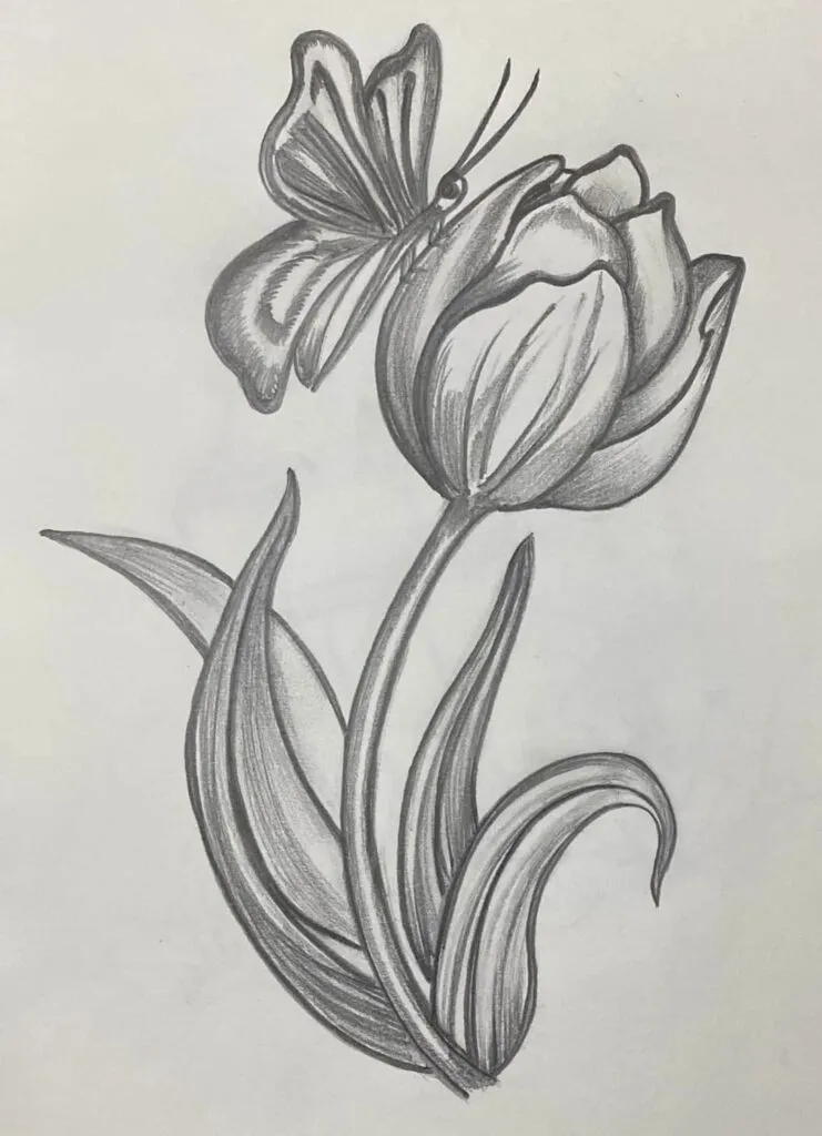 Gambar Bunga Tulip Sketsa