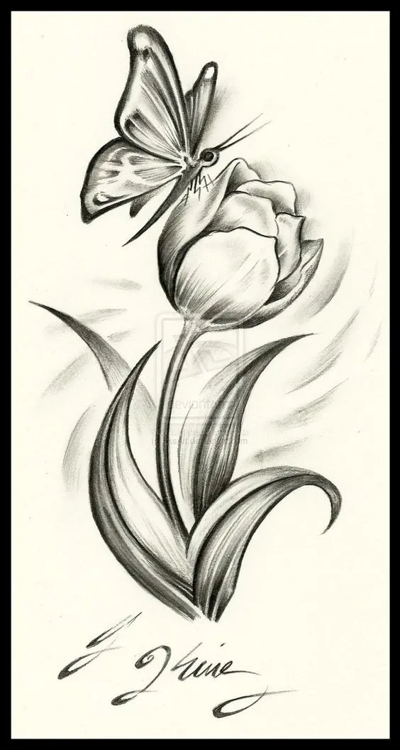 Gambar Bunga Tulip Sketsa