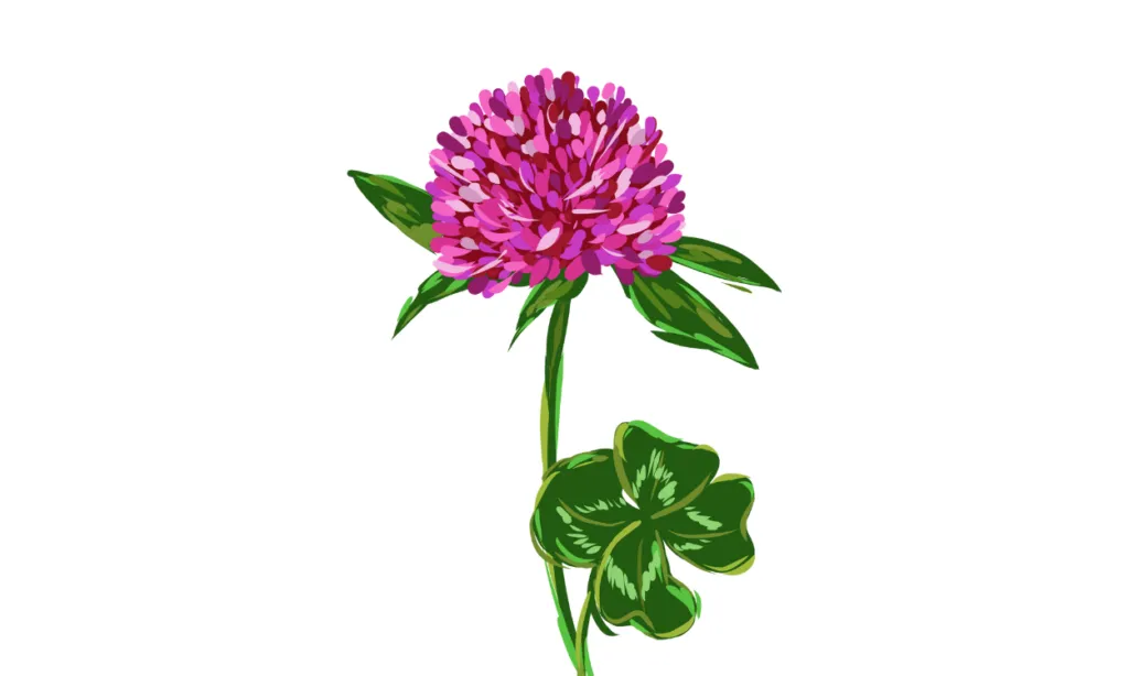 Gambar Bunga Yang Bagus