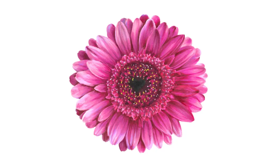 Gambar Bunga Yang Bagus