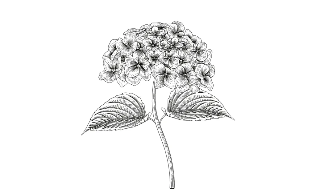 Gambar Bunga Yang Bagus