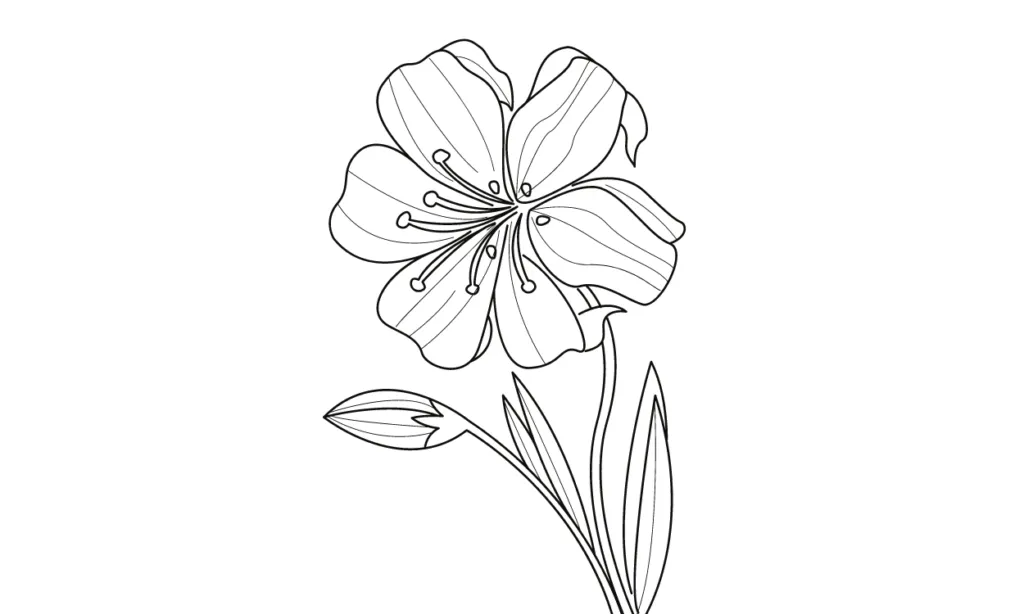 Gambar Bunga Yang Bagus