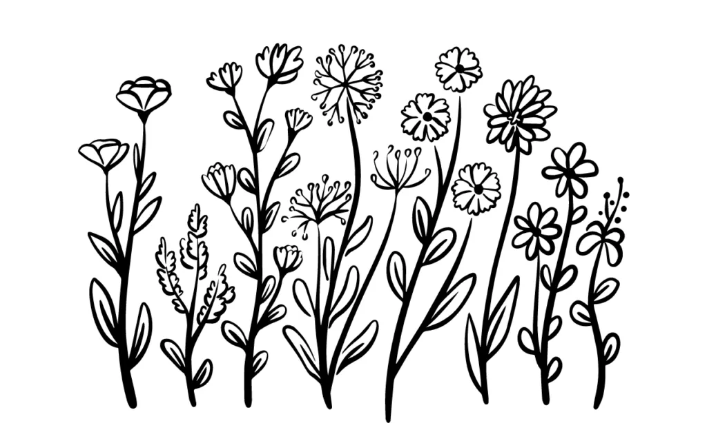 Gambar Bunga Yang Bagus