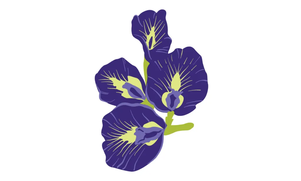 Gambar Bunga Yang Bagus