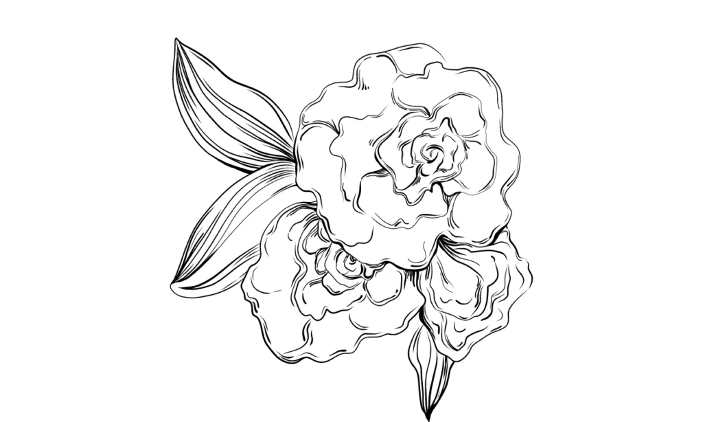 Gambar Bunga Yang Bagus