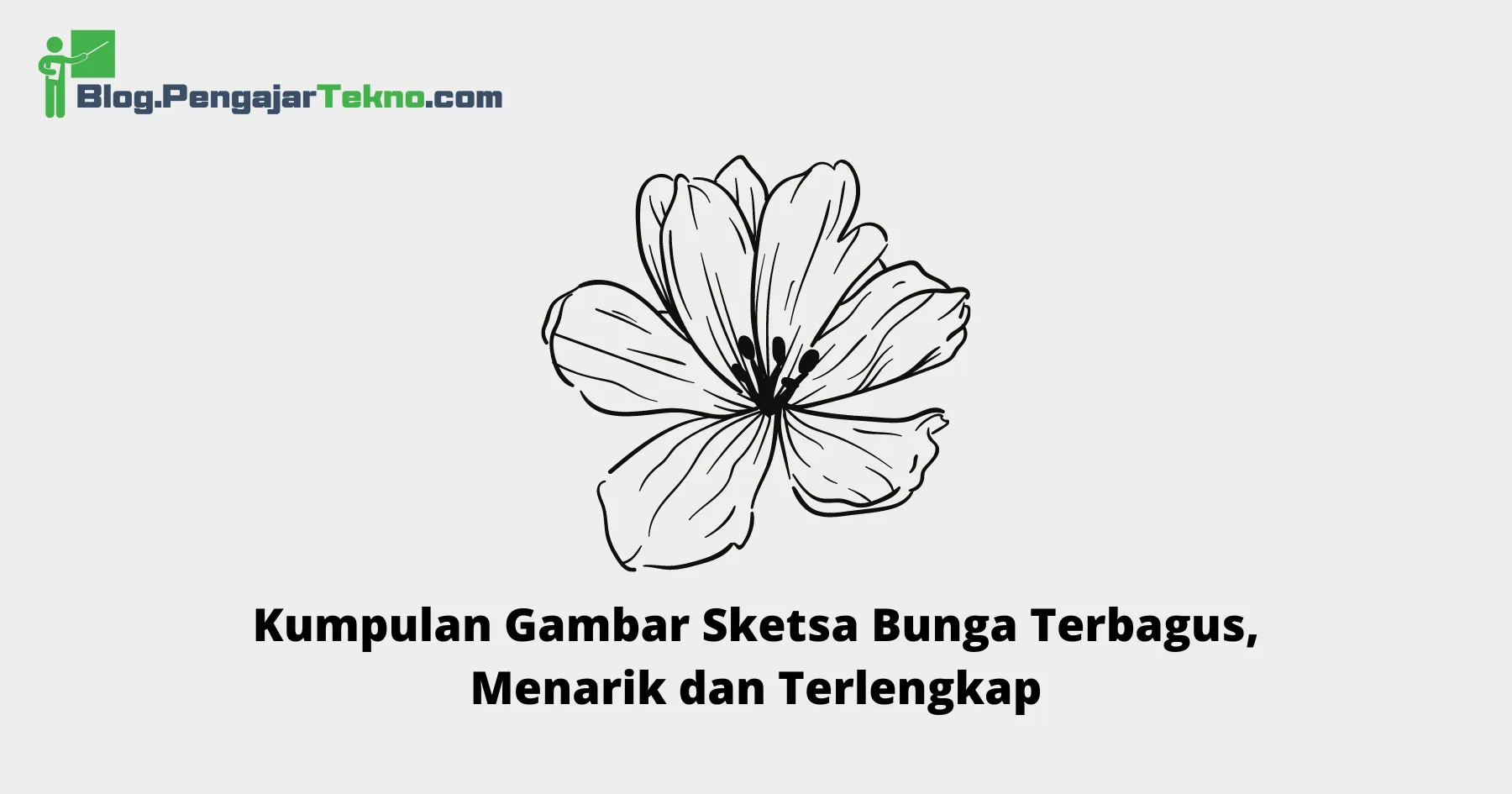 Gambar Sketsa Bunga